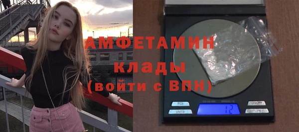 прущие грибы Баксан